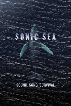 Sonic Sea